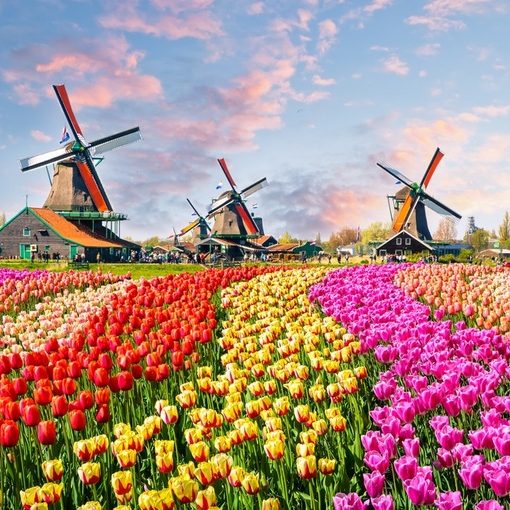 Paket Tour Wisata Liburan Eropa Paris Swiss Germany Netherland 8D7N 2020 Murah - Zaanse Schans