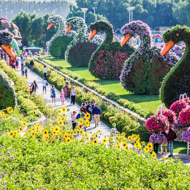 Promo Paket Tour Wisata Dubai Miracle Garden 6D5N 2020 Murah Buy 1 Get 1