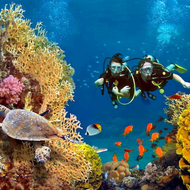 Paket Tour Wisata Pulau Taman Laut Nasional New Bunaken Manado